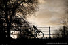 Biking Capital of the World